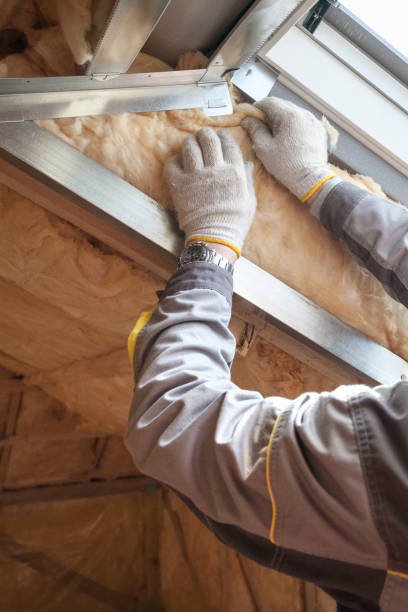 Best Insulation Maintenance and Repair in Donora, PA